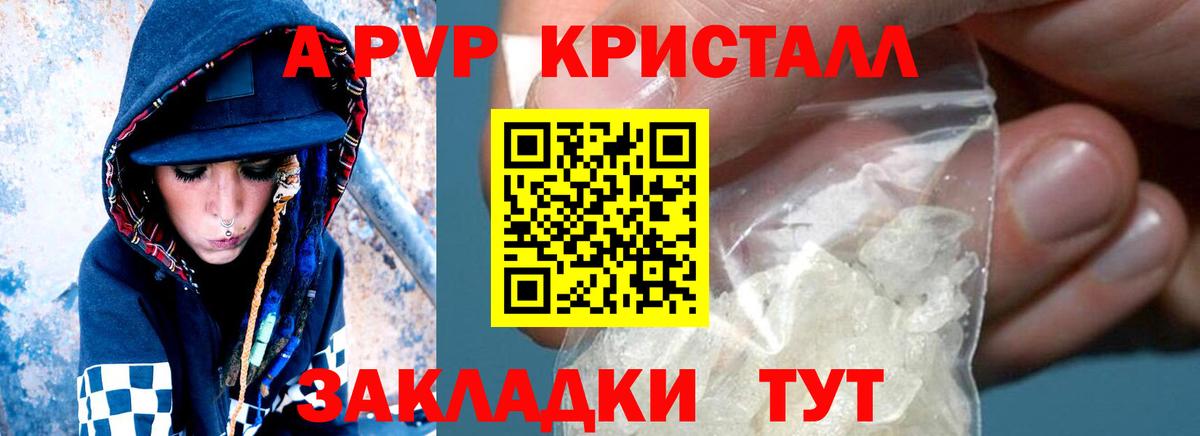 Alfa_PVP крисы CK  Alfa_PVP СК КРИС  Вход с VPN  Альфа ПВП СК КРИС  Назарово 