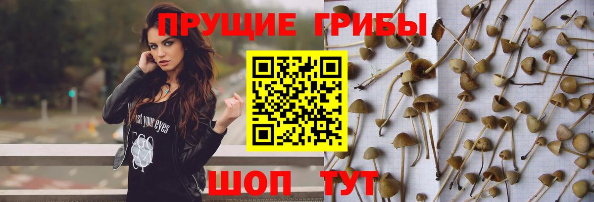 Галлюциногенные грибы GOLDEN TEACHER  Галлюциногенные грибы Magic Shrooms  Вход с VPN  Назарово 