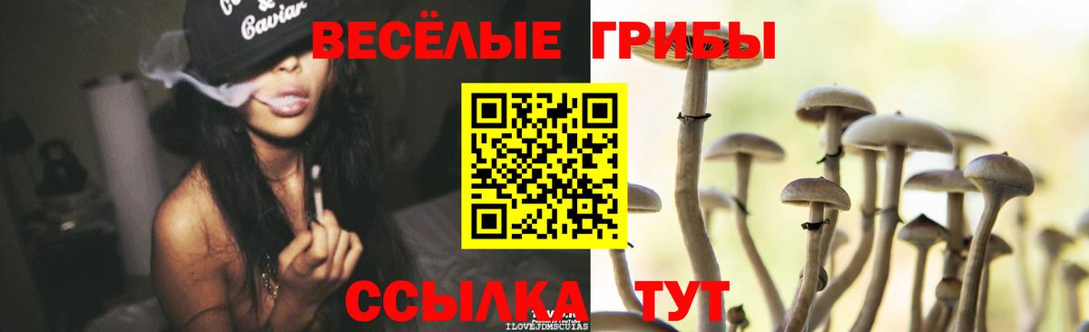 Каннабис  ГАШ  Назарово  Меф МЯУ МЯУ   АМФ кристаллы  Вход с VPN  Alpha PVP СК  