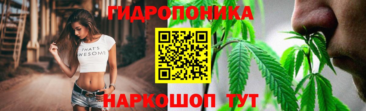 A PVP Назарово